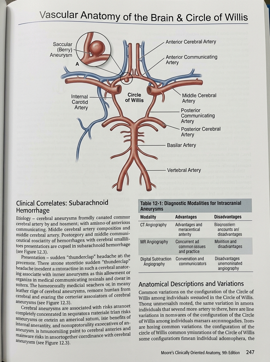 Medical Textbook Page — Moore's Clinically Oriented Anatomy